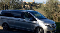 Chianti Vineyards Tours in Private Luxury Van from Florence