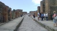 Pompeii Half Day Exploration Tour