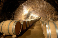 Tour de Dégustation de Vins et de plats à Budapest