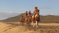 Pacific Tour d'équitation à Cabo San Lucas