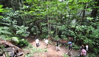 Tour en 4 x 4 Eco Outback Tracks de la Gold Coast