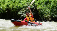 Temburong Kayak et Tyrolienne Day Adventure Trip de Bandar