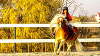 Bucharest Horse Riding Experience