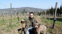 Truffle Picking with Lunch