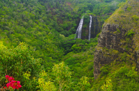 Excursion d'Une journée à Kauai: canyon de Waimea, fleuve Wailua au départ d'Oahu