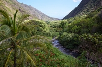 Excursion d'Une journée à Maui: Haleakala, Vallée d'Iao, Old Lahaina au départ d'Oahu
