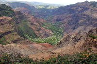 Kauai Waimea Canyon Experience