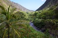 Maui Day Trip: Haleakala, Iao Valley, Old Lahaina from Oahu