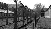 7 Hour Private Auschwitz Tour from Krakow