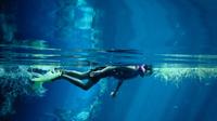 Cozumel Snorkeling Tour from Playa del Carmen