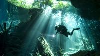 Mini Cenotes 2-Day Scuba Diving Package in the Riviera Maya