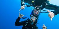 PADI Discover Scuba Diving Program in the Riviera Maya