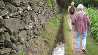 Maroços Mimosa Valley - Levada Walk