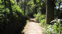 Paradise Valley - Levada Walk