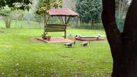 Sunday Market and Gardens Tour