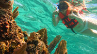 Full-Day Snorkeling Adventure from Cancun and Riviera Maya