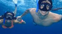 Two Reef Snorkelling Tour
