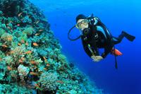 2-Tank Scuba Dive in St Lucia