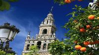 Santa Cruz Quarter and Cathedral Guided Day Tour in Seville