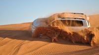 Dubai Desert Safari: Land Cruiser, Camel Ride, Dune Bashing 