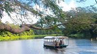 Kuranda Riverboat Sightseeing Cruise