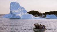 10-Day Newfoundland and Maritime Tour from Halifax to Moncton