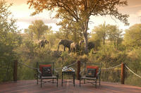 3-Day Kruger National Park Luxury Safari from Johannesburg