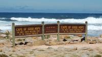 Cape Town Shore Excursion: Cape Peninsula Tour