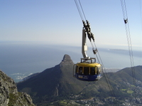 Excursion D'une demi-journée à Table Mountain et au cap