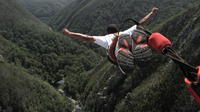 Port Elizabeth Shore Excursion: Bloukrans Bungee Jump