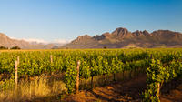 Stellenbosch Wijntour vanuit Kaapstad Stellenbosch Wijntour vanuit Kaapstad