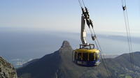 Table Mountain and Cape Town Half-Day Trip