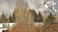 Grand Teton National Park Sunrise Half Day Tour