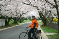 Exclusivité Viator: Tour en vélo de découverte des cerisiers à Washington DC