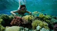 Snorkel Trip from Sharm El-Naga Bay Hurghada