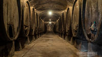 Wine Tasting Tour in a Historical Wine Cellar