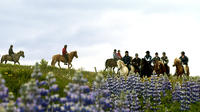 Horseback Riding Day Tour at Laxnes Farm from Reykjavik