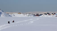 Half-Day Snowmobile Tour to Oqaatsut