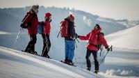 Ilulissat Snowshoeing Hike