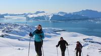 Ilulissat Snowshoeing Walk