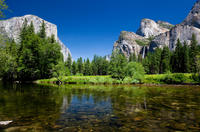 Excursion au parc national de Yosemite et découverte des séquoias géants