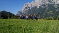 Private Tour: The Sound of Music Ultimate Experience in Salzburg