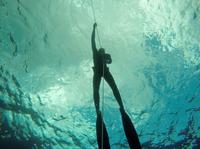 Freediving SSI Course - Level 1