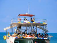 Snorkeling et Whale Watching All-Inclusive Visite aux îles Marietas