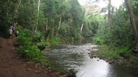 Wailua River and Secret Falls guided Kayak and Hiking Tour