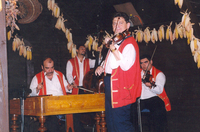 Spectacle folklorique à Budapest with dîner