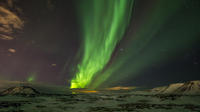 Aurora Borealis Northern Lights Tour from Reykjavik