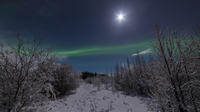 Small-Group Aurora Borealis - Northern Lights Tour