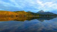 5-Day Expedition of Bathurst Harbour and Port Davey On-Board MV Odalisque from Hobart