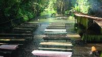 Private Tour: Villa Escudero with Lunch from Manila